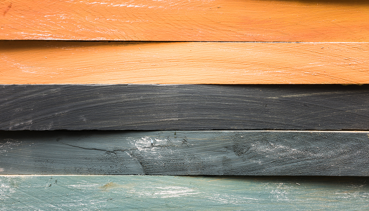 Montana Mountain Home Color Palate